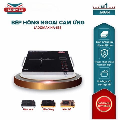 Bếp hồng ngoại Ladomax HA-666