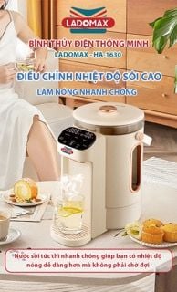 Bình Thủy Điện 3 Lít Ladomax HA-1630
