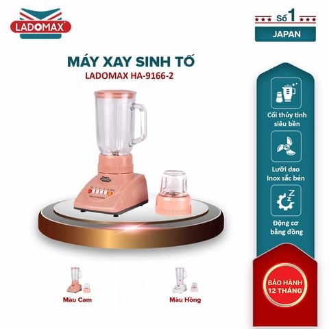 Máy xay sinh tố Ladomax HA-9166-2