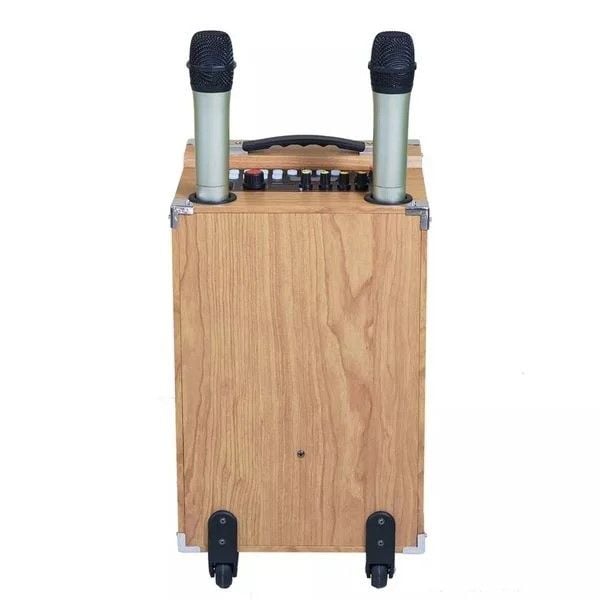 Loa Karaoke di động Ladomax K-S200 (2 tấc đơn)