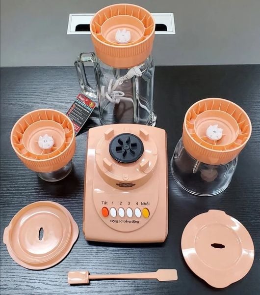 Máy xay sinh tố Ladomax HA-9166-3