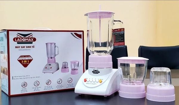Máy xay sinh tố Ladomax HA-9166-3
