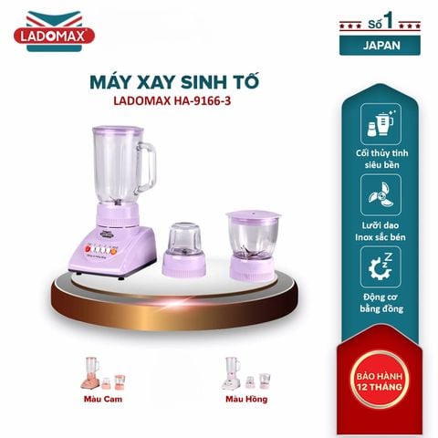 Máy xay sinh tố Ladomax HA-9166-3