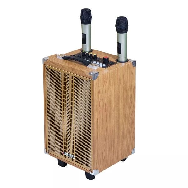 Loa karaoke xách tay cao cấp K-S202
