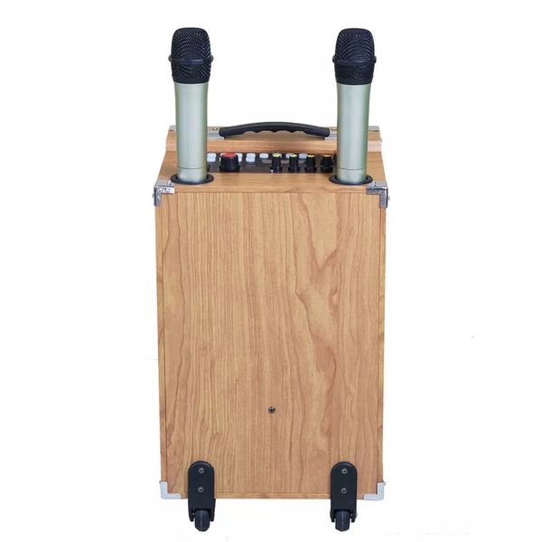 Loa karaoke xách tay cao cấp K-S202