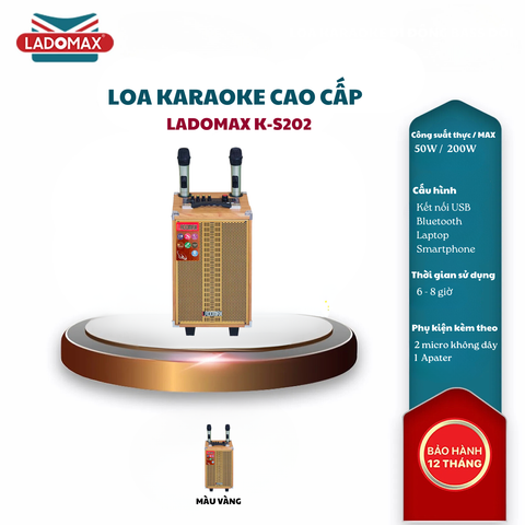 Loa karaoke xách tay cao cấp K-S202