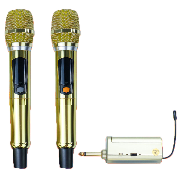 Micro không dây Ladomax WE-07