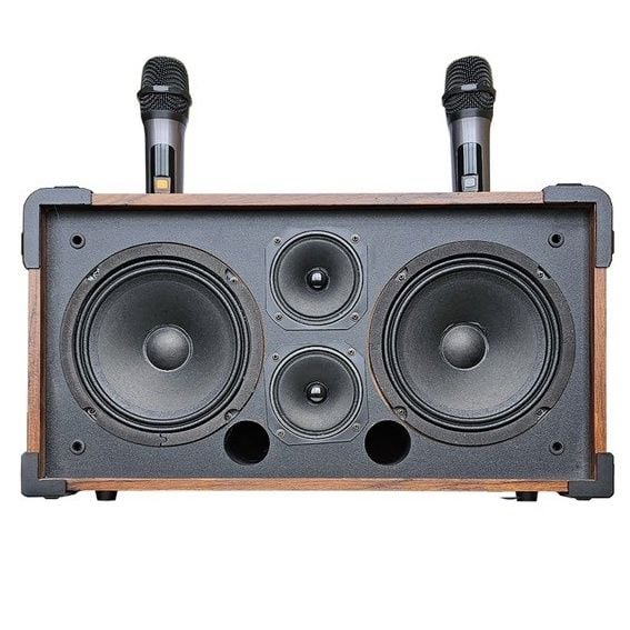 Loa Karaoke xách tay cao cấp HA-8216