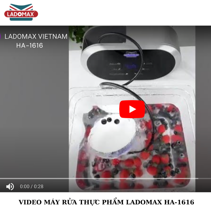 Máy làm sạch thưc phẩm Hyroxyl Ladomax HA-1616