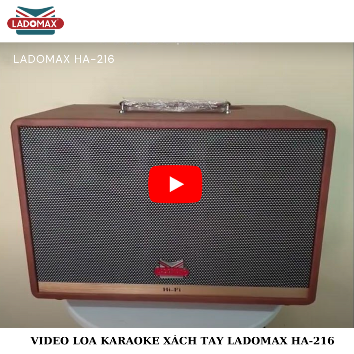 Loa Karaoke xách tay Cao Cấp Ladomax H-216 (Bass đôi 16.5cm)