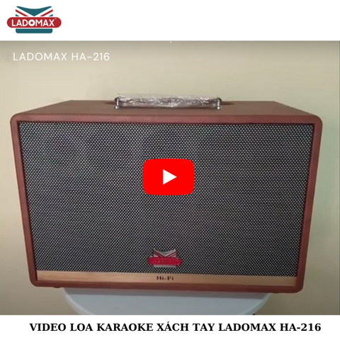 Loa Karaoke xách tay Cao Cấp Ladomax H-216 (Bass đôi 16.5cm)