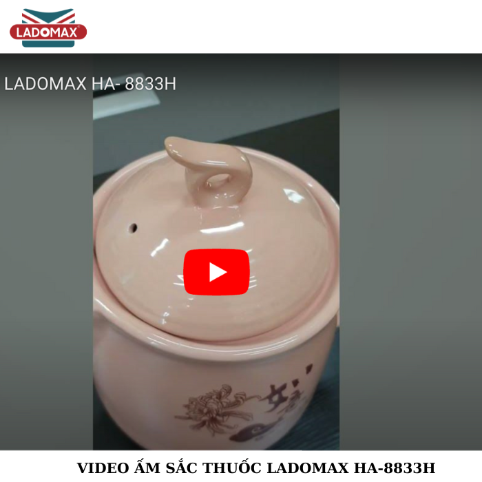 Ấm sắc thuốc Ladomax HA-8833H