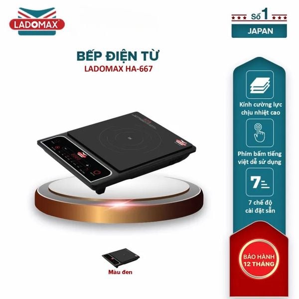 Bếp điện từ cao cấp Ladomax HA-667