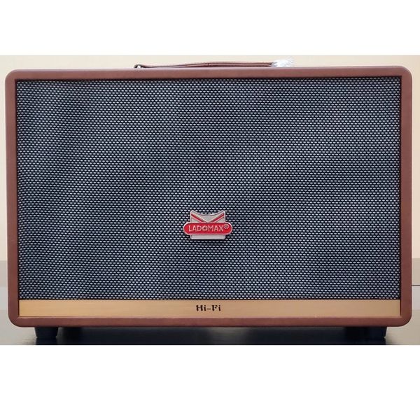 Loa Karaoke xách tay Cao Cấp Ladomax H-216 (Bass đôi 16.5cm)