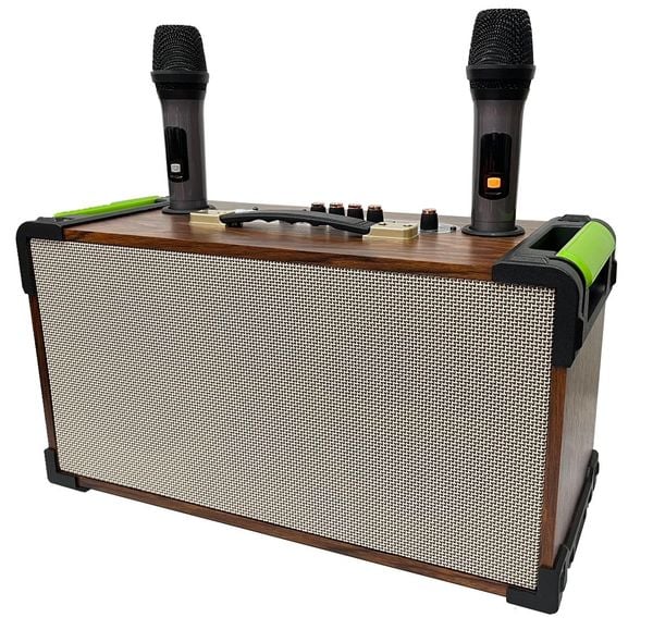 Loa Karaoke xách tay cao cấp HA-8216