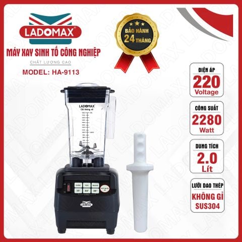Máy xay sinh tố công nghiệp Ladomax HA-9113