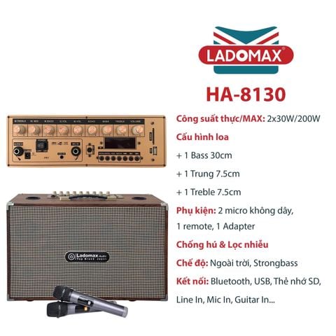 Loa Karaoke xách tay Cao Cấp HA-8130