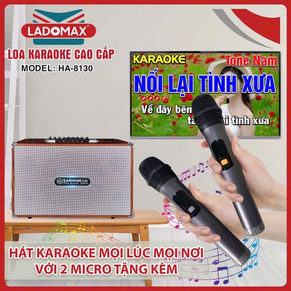 Loa Karaoke xách tay Cao Cấp HA-8130