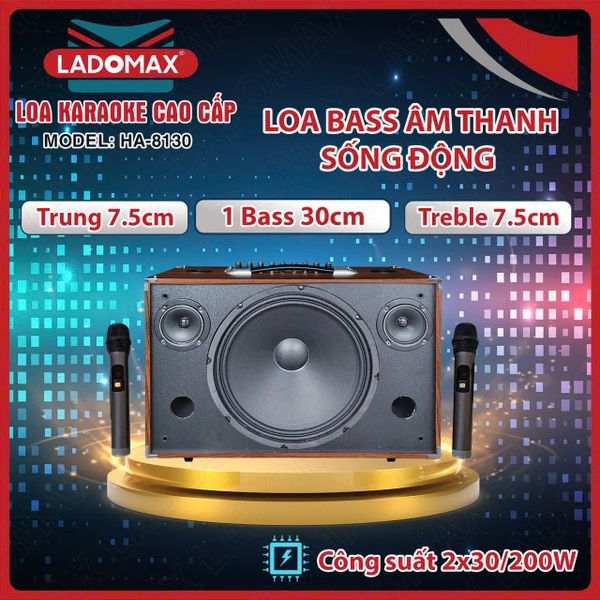 Loa Karaoke xách tay Cao Cấp HA-8130