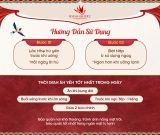  Yến Chưng Sẵn Gừng 