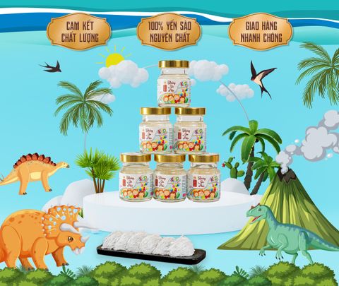  Set 6 Hũ Yến chưng sẵn cho bé 