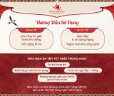  Combo 6 Hũ Yến Chưng Sẵn 
