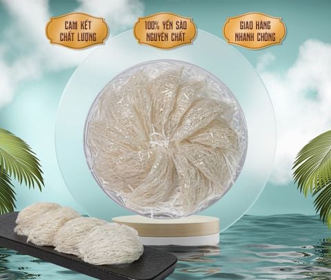  Yến Tinh chế Tiêu Chuẩn 100gram 