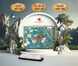  Yến Biển Thượng Hạng 