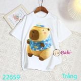  Áo Thun Cộc Tay Ca.py.ba.ra (26-60kg) 