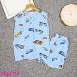  Bộ Tole Sát Nách Quần Ngắn Cho Bé Trai Nhiều Họa Tiết (4 - 10 tuổi) 