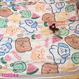  Chăn hè cho bé nhiều họa tiết xinh xắn (70cm*120cm) 