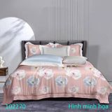  Combo 3 món Tencel gồm 1 drap nệm 1m8 và 2 áo gối nằm 50x70 