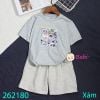 Bộ Thun Bé Trai Tay Ngắn Quần Ngắn In Rồng (26kg - 65kg)