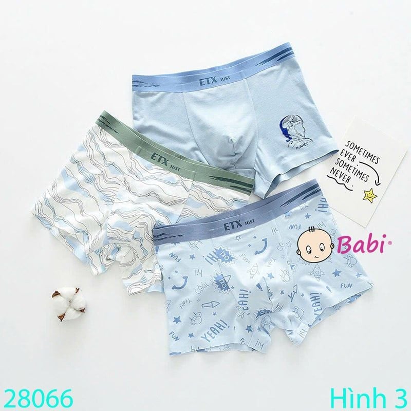  Hộp 3 Chip Đùi Nhiều Họa Tiết Cho Bé Trai (40-65kg) 