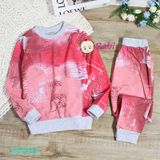  Bộ Thun Da Cá Cho Bé Gái Tay Dài Quần Dài Họa Tiết Đẹp (20kg- 42kg) 