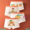 Set 4 Chip Đùi Nhiều Họa Tiết Cho Bé Gái M2 (17-26kg)