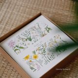  Care Box chăm mắt Lộc Nhàn 