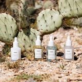 Tinh Chất Ngừa Lão Hóa Huxley Secret Of Sahara Oil Essence ; Essence-Like, Oil-Like 