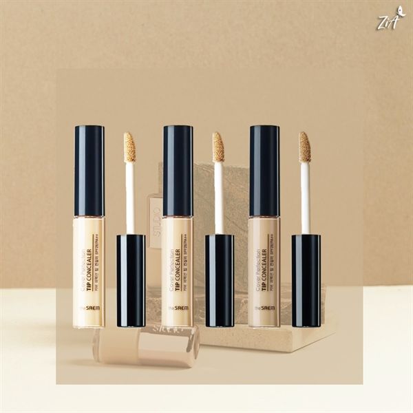 Che Khuyết Điểm The Saem Concealer – LE NGOC ANH COSMETIC