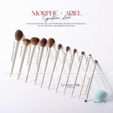 Bộ Cọ Morphe X Ariel Signature Look 11 Cây 