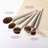  Bộ Cọ Morphe X Ariel Signature Look 11 Cây 