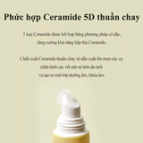  Son Dưỡng Torriden Solid In Lip Essence 