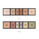  Triệt Sắc JungSaemMool Artist Concealer Palette 