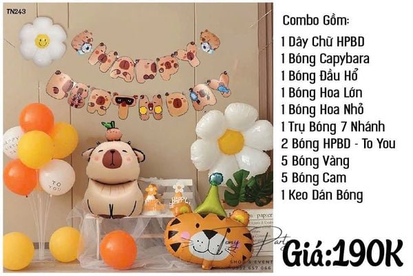  Set combo trang trí sinh nhât TN 118 