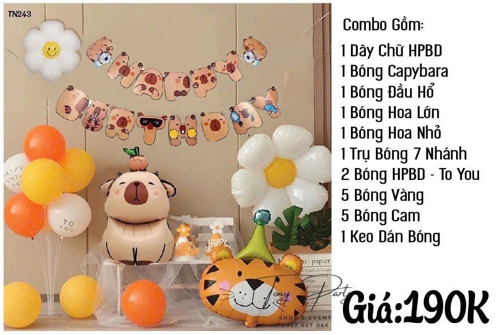  Set combo trang trí sinh nhât TN 118 