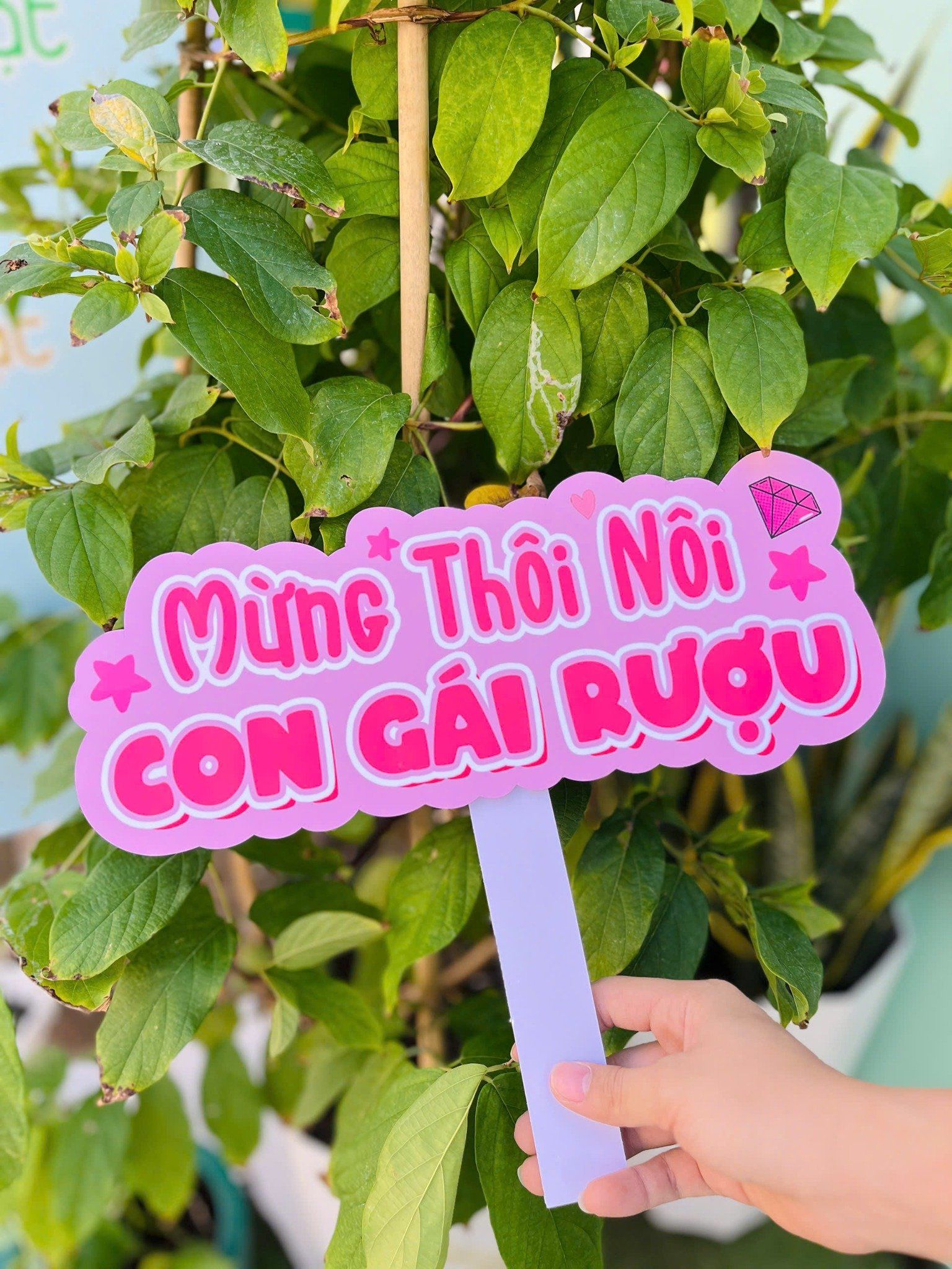  Hashtag Sinh Nhật Bé Gái 