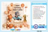  Set Combo Trang Trí Sinh Nhật MS 205 