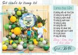  Set combo trang trí 192 