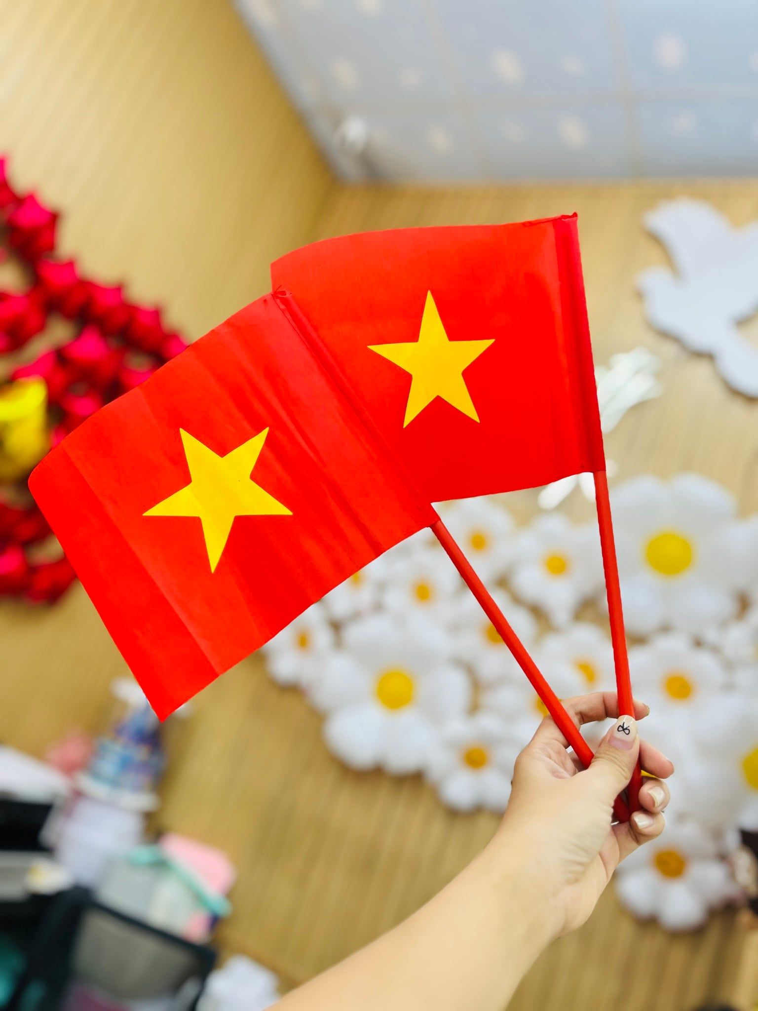  Cờ Vẫy Cầm Tay 