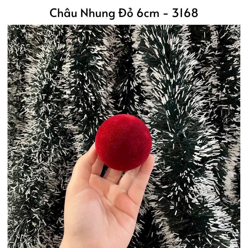  Set Châu Đỏ 6cm ( 24 Trái) 